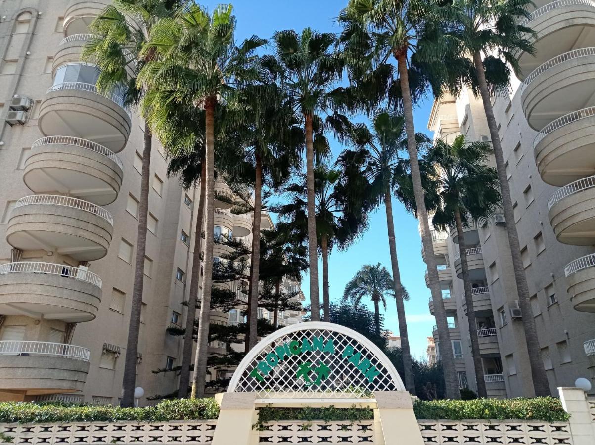 Tropicana Park Solo Familias Serviplaya Gandía Dış mekan fotoğraf